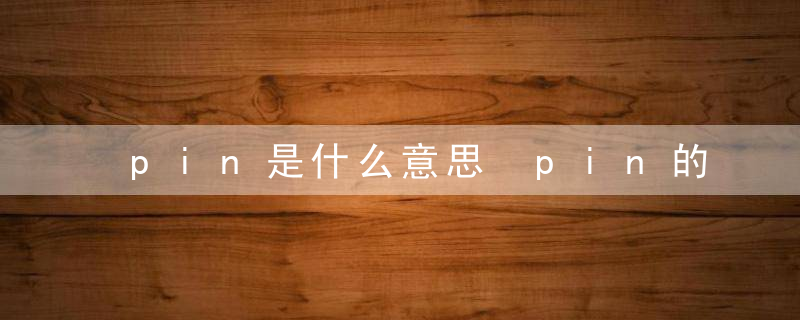 pin是什么意思 pin的意思